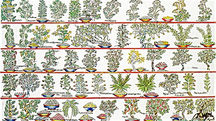 藏藥材資源分布、發(fā)展史